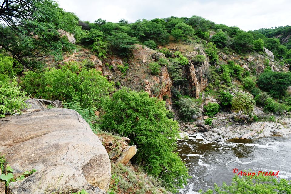 Photo of Chunchi Falls, Madarahalli, Karnataka, India by Madhuree