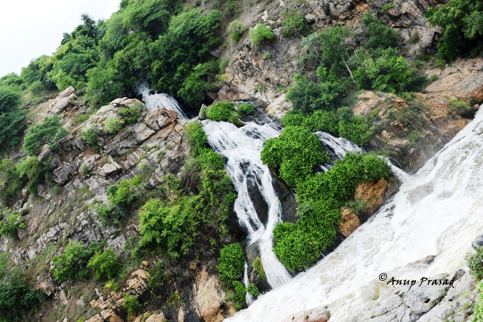 Photo of A BikeTrip to Shivanasamudram, Chunchi Falls and Sangama in Monsoon by Madhuree