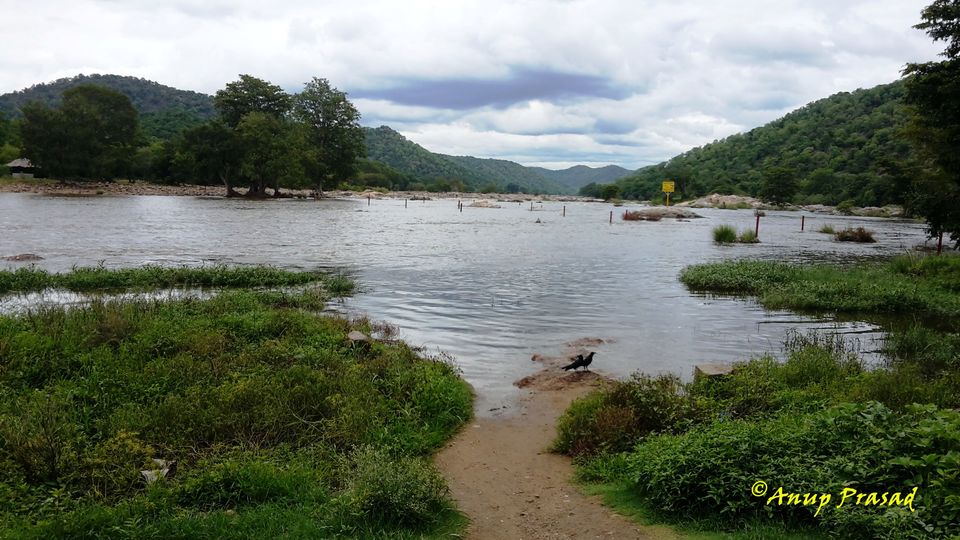 Photo of Sangama Mekedatu River Crossing, Kanakapura-Sangam Road, Mugguru Forest, Karnataka, India by Madhuree