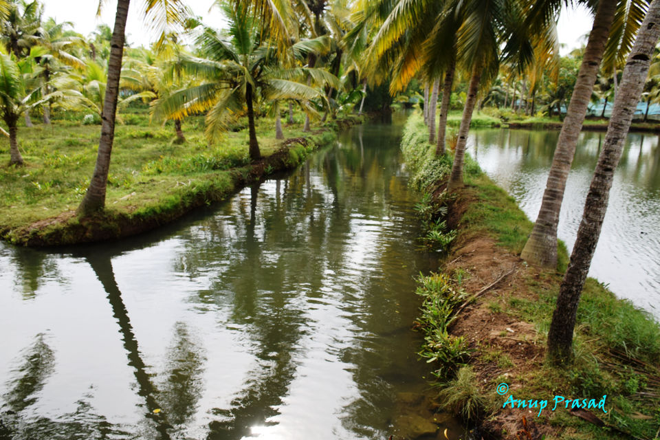 Photo of Munroe Island: Hidden Venice of India by Madhuree