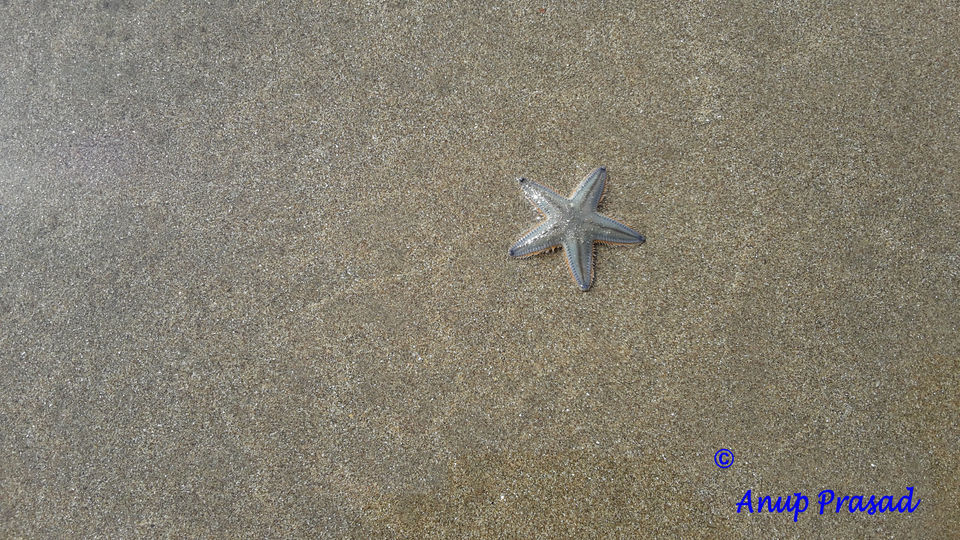 Photos of Arambol Beach, Arambol, Goa, India 1/1 by Madhuree