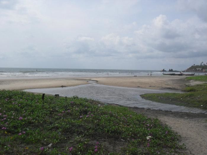 Photos of Harmal Beach, Arambol, Goa, India 1/1 by Madhuree