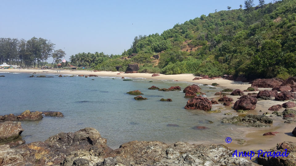 Photos of Morjim, Goa, India 1/1 by Madhuree