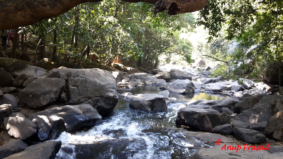Photo of Dudhsagar Falls, Sonaulim, Goa, India by Madhuree