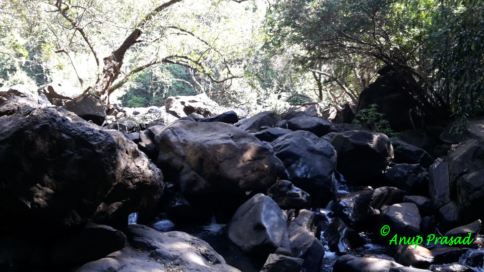 Photo of Explore the Unexplored Side of Goa: Three Stunning Waterfalls by Madhuree