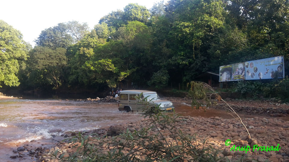 Photo of Explore the Unexplored Side of Goa: Three Stunning Waterfalls by Madhuree