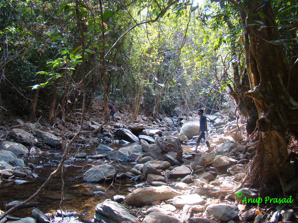 Photo of Explore the Unexplored Side of Goa: Three Stunning Waterfalls by Madhuree