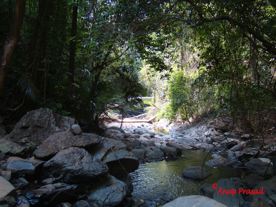Photo of Explore the Unexplored Side of Goa: Three Stunning Waterfalls by Madhuree
