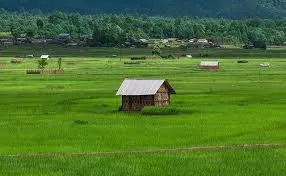 Photo of Arunachal Pradesh, India by Madhuree