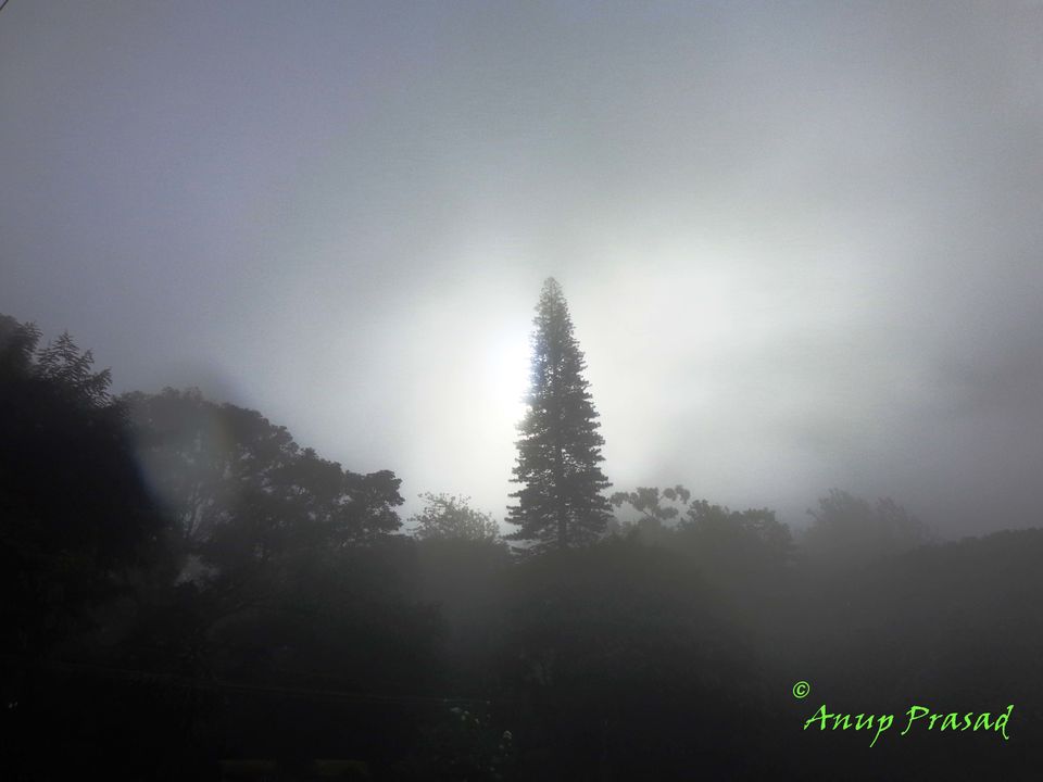 Photo of 4 Adventurous, 5 Romantic & 2 Historical Road Trips from Bangalore by Madhuree