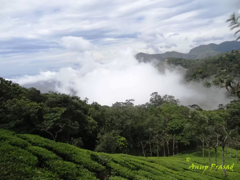 Photo of Ooty, Tamil Nadu, India by Madhuree