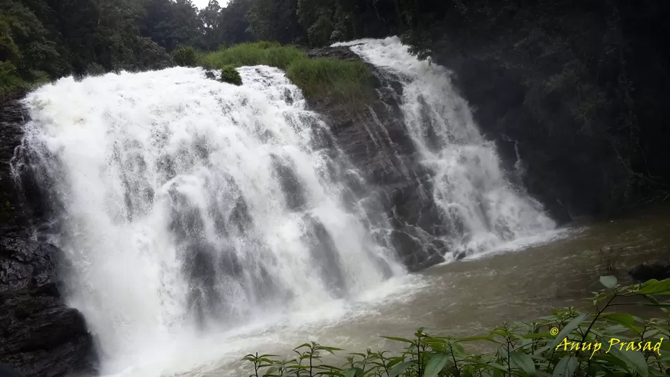 Photo of Coorg, Karnataka, India by Madhuree