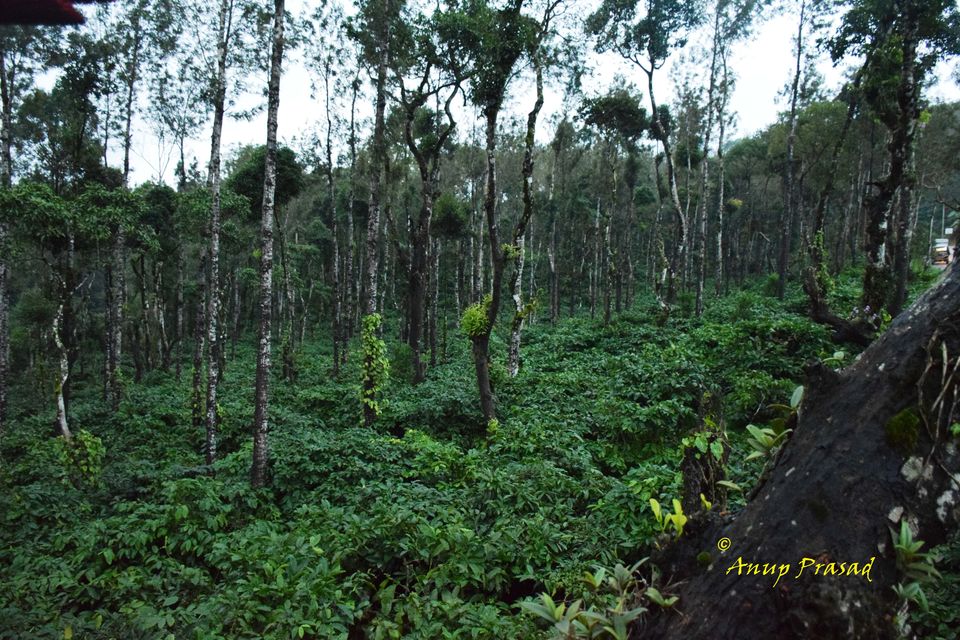 Photo of 4 Adventurous, 5 Romantic & 2 Historical Road Trips from Bangalore by Madhuree