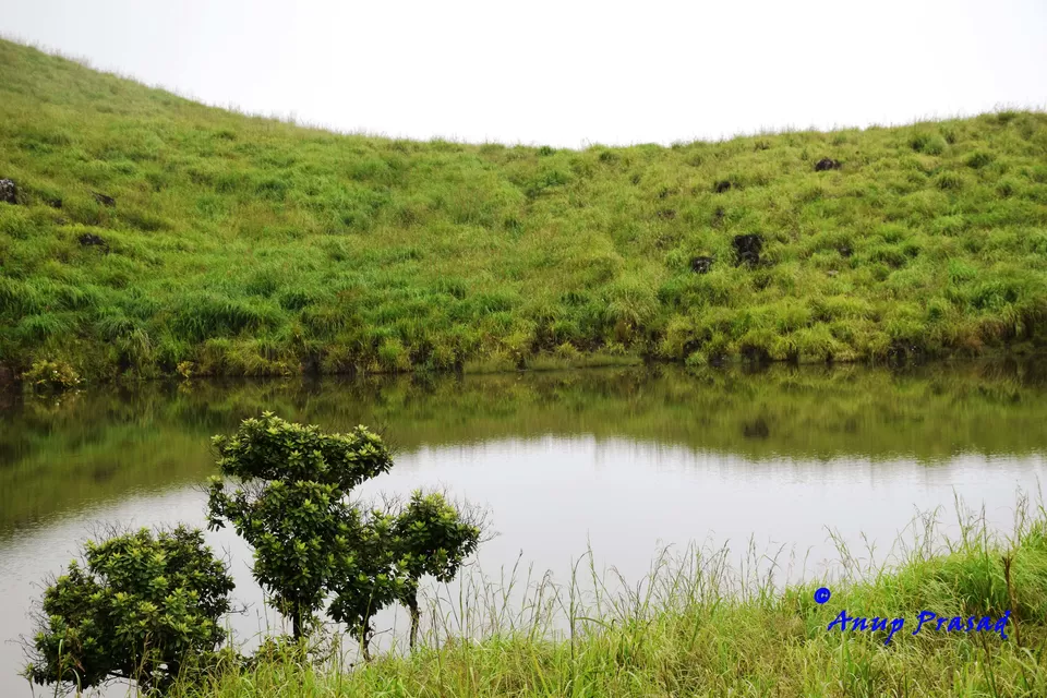 Photo of Wayanad, Kerala, India by Madhuree