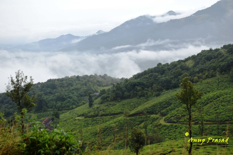 Photo of 4 Adventurous, 5 Romantic & 2 Historical Road Trips from Bangalore 1/1 by Madhuree