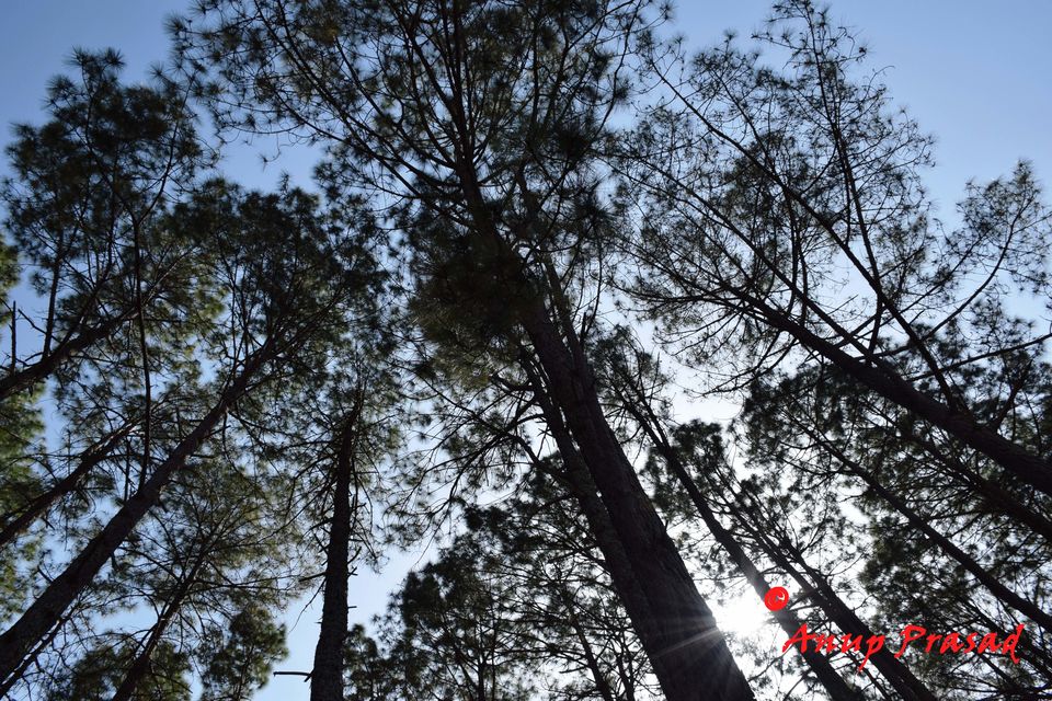 Photo of Ranikhet, Uttarakhand, India by Madhuree