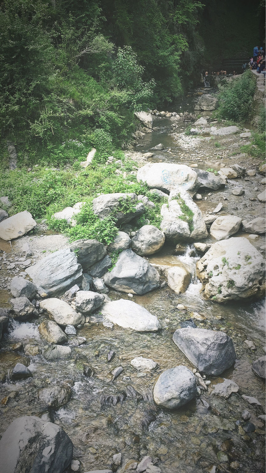 Photo of Weekend Trip to Chakrata! by Gauri Tyagi
