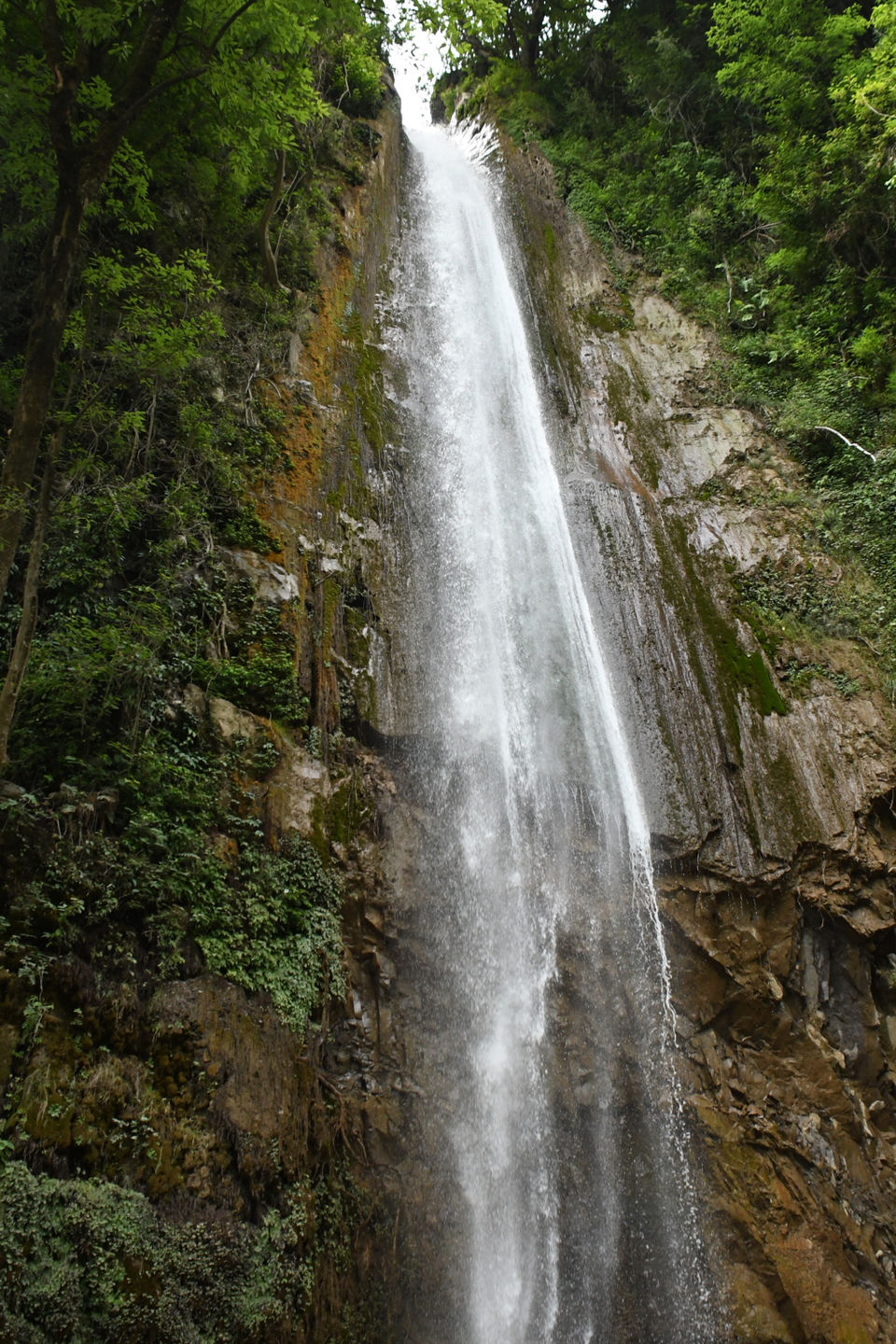 Photo of Weekend Trip to Chakrata! by Gauri Tyagi