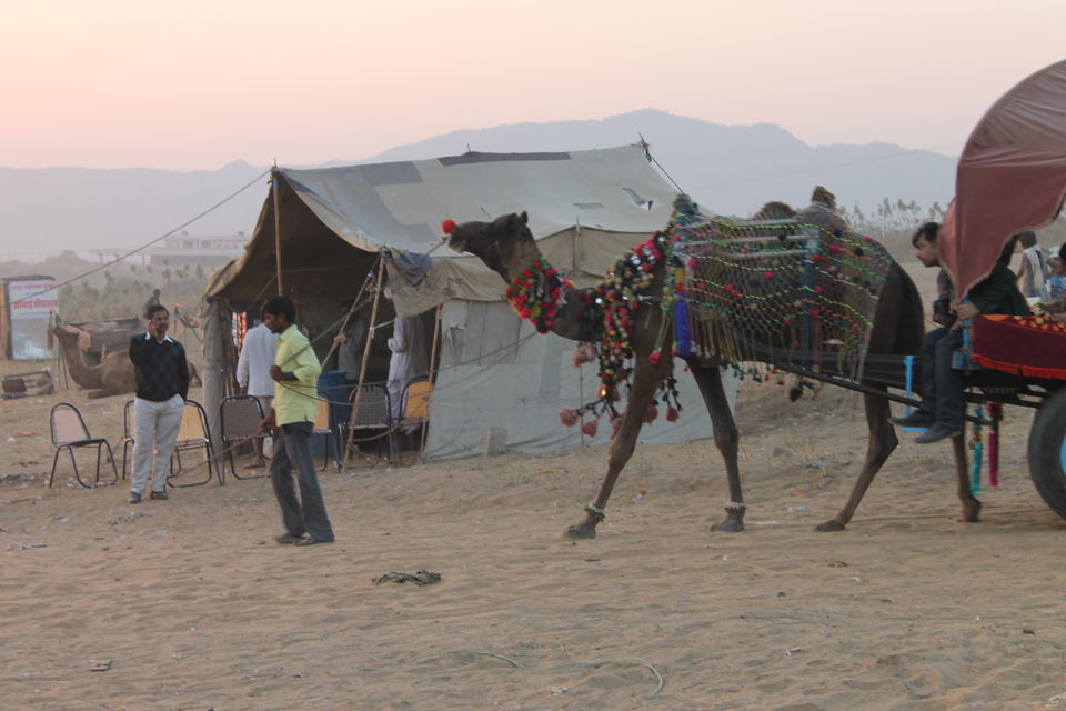 Photo of Pushkar, Rajasthan, India by karanp