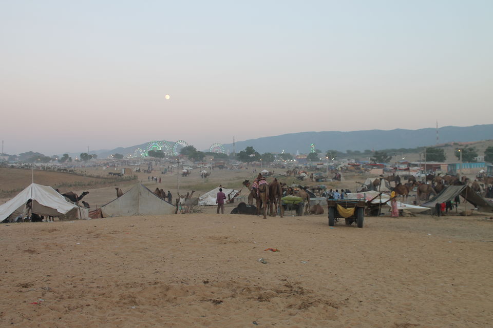 Photo of Pushkar, Rajasthan, India by karanp