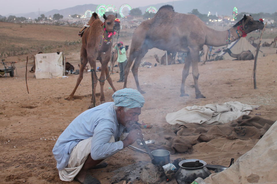 Photo of Pushkar, Rajasthan, India by karanp
