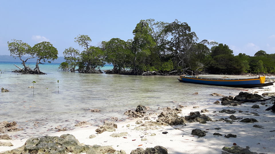 Photo of Andamans: Rediscovering a bond 1/3 by Anindita Acharya