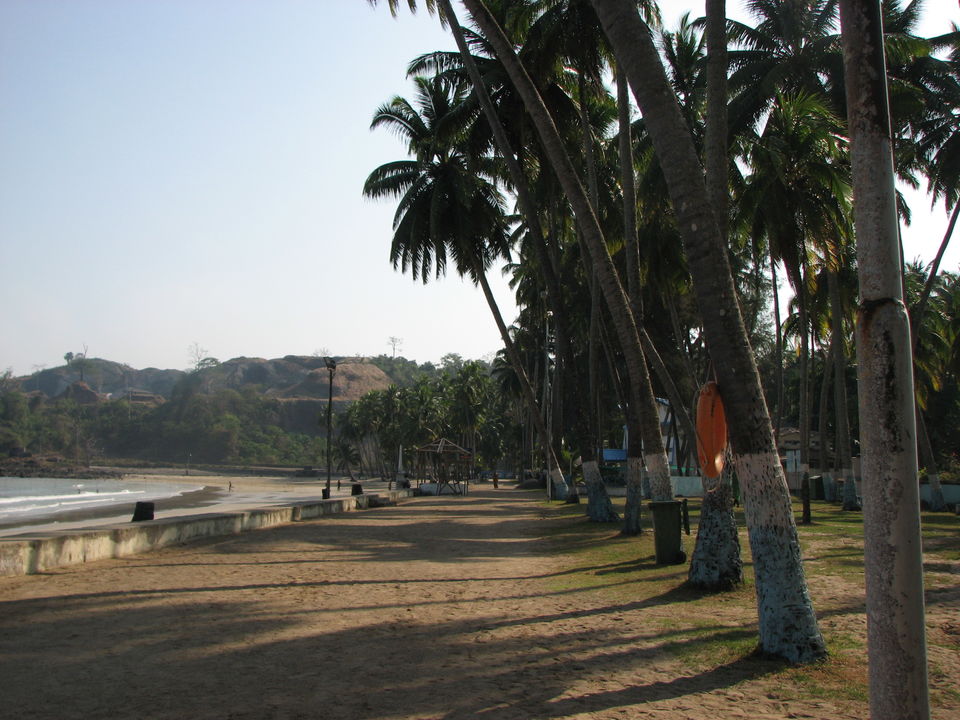 Photo of Andamans: Rediscovering a bond by Anindita Acharya