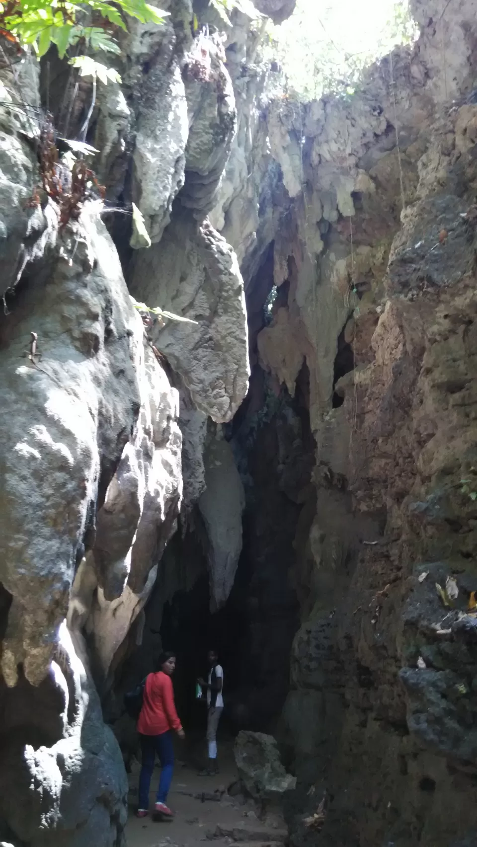 Photo of Baratang Lime Stone Caves, South Andaman, Andaman and Nicobar Islands, India by Anindita Acharya