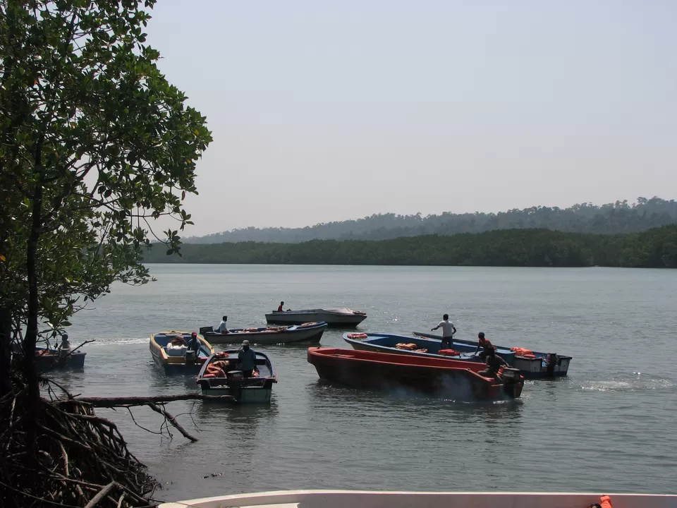Photo of Baratang Lime Stone Caves, South Andaman, Andaman and Nicobar Islands, India by Anindita Acharya