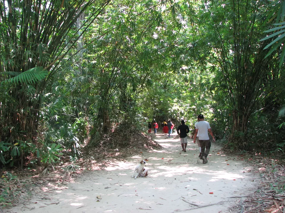 Photo of Baratang Lime Stone Caves, South Andaman, Andaman and Nicobar Islands, India by Anindita Acharya