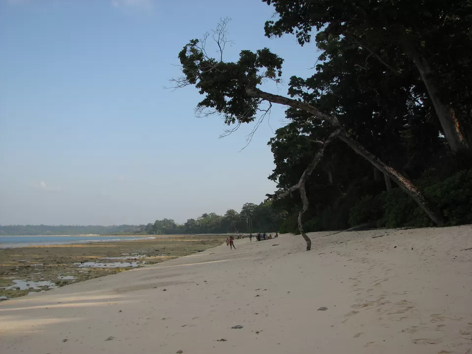 Photo of Neil Island, South Andaman, Andaman and Nicobar Islands, India by Anindita Acharya