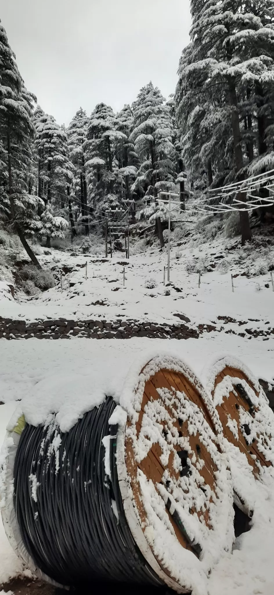 Photo of White winter at patnitop by Ravi Gupta