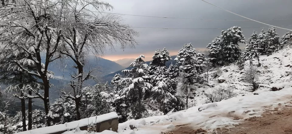 Photo of White winter at patnitop by Ravi Gupta