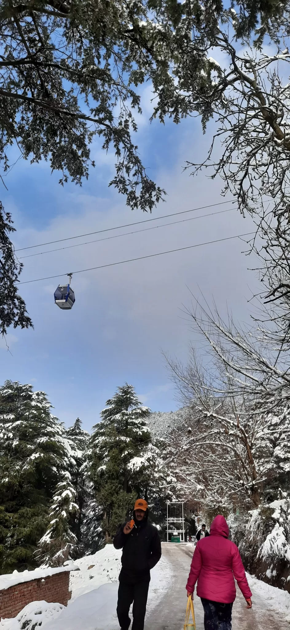 Photo of White winter at patnitop by Ravi Gupta