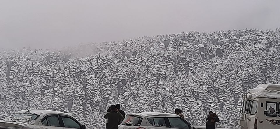 Photo of White winter at patnitop by Ravi Gupta