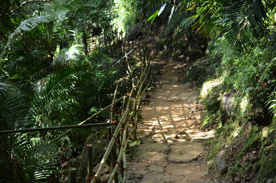 Photo of Mawlynnong, Meghalaya, India by Christopher Jacob