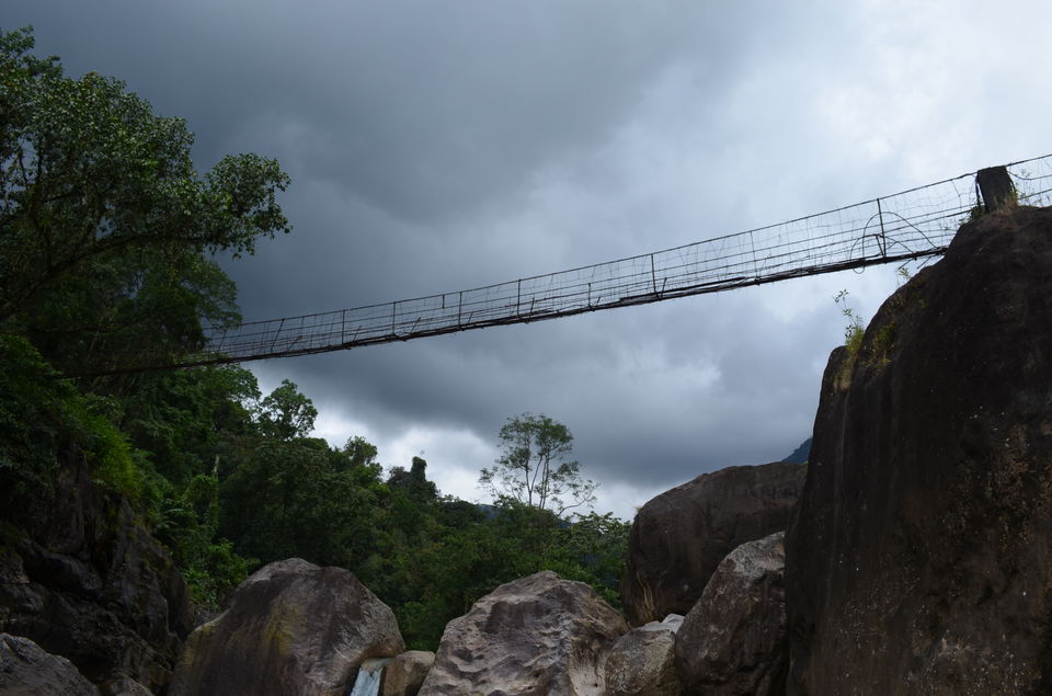 Photo of living root bridge, Cherrapunjee, Meghalaya, India by Christopher Jacob