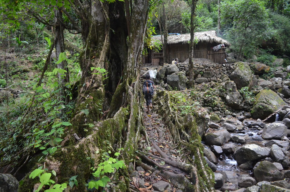 Photo of A trip to Enchanting Meghalaya via Kolkatta by Christopher Jacob