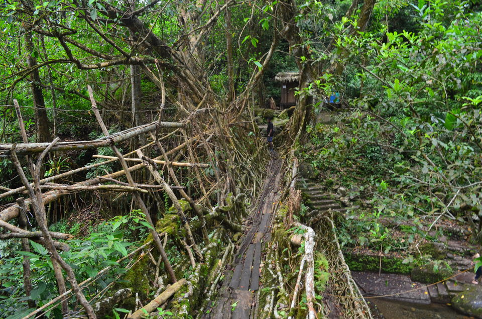 Photo of A trip to Enchanting Meghalaya via Kolkatta by Christopher Jacob