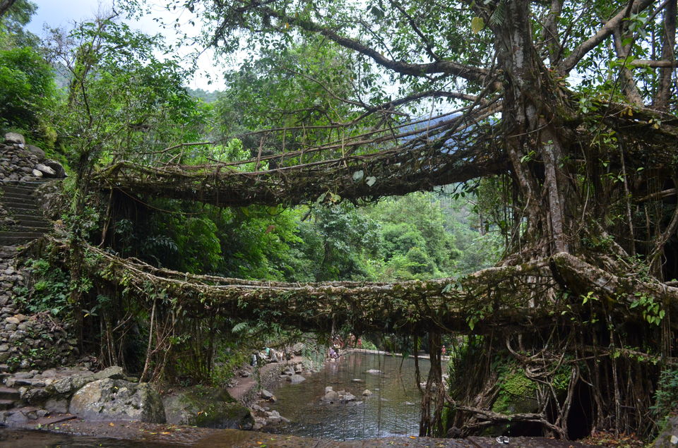 Photo of A trip to Enchanting Meghalaya via Kolkatta by Christopher Jacob