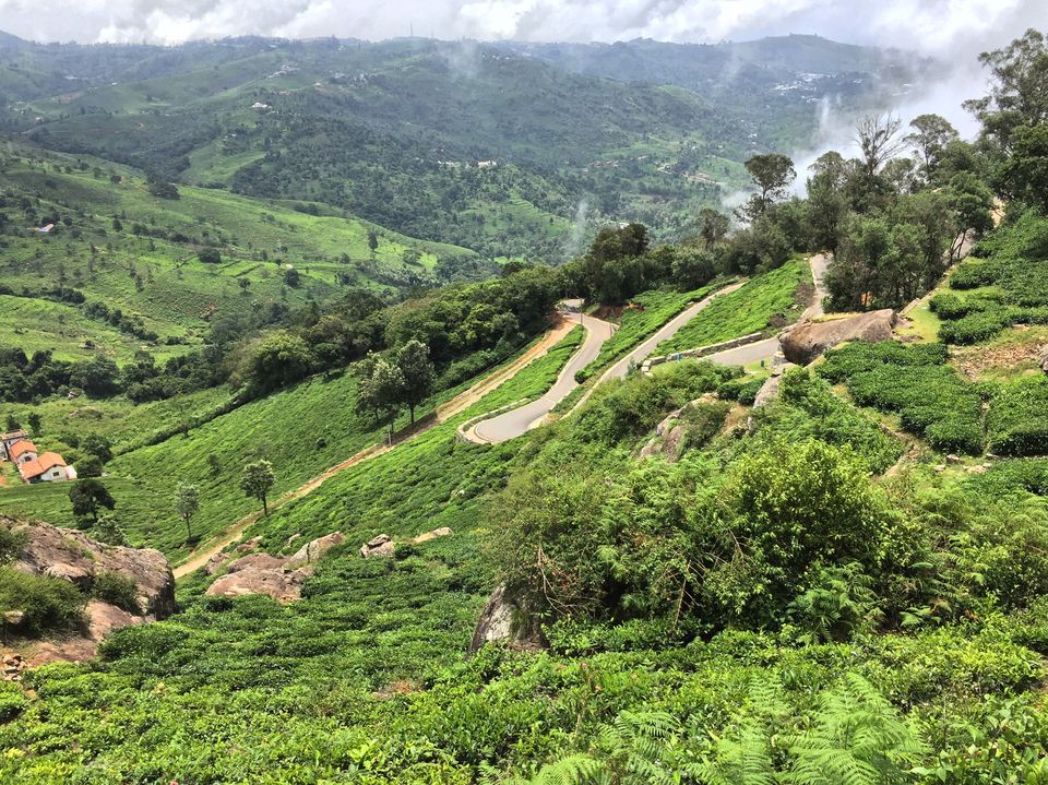 Photo of Have you heard about the Bear Mountains in the Nilgiris? 1/6 by Gouthami Vasudev