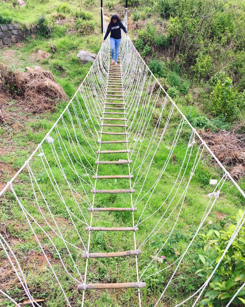 Photo of Have you heard about the Bear Mountains in the Nilgiris? 4/6 by Gouthami Vasudev