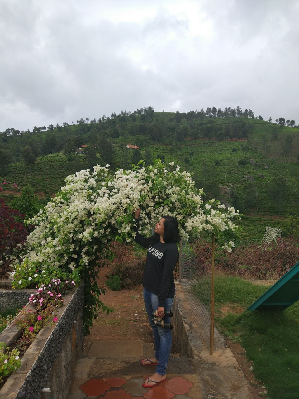 Photo of Have you heard about the Bear Mountains in the Nilgiris? 3/6 by Gouthami Vasudev