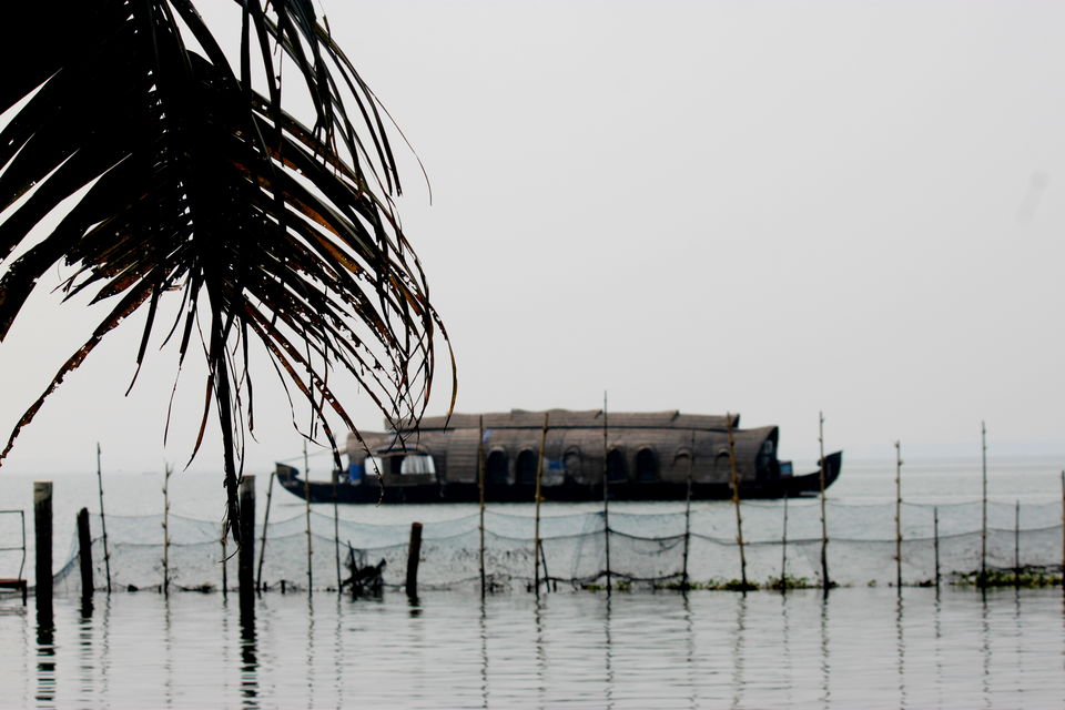 Photo of God's Own Country: Kerala 1/3 by Riyanka Roy