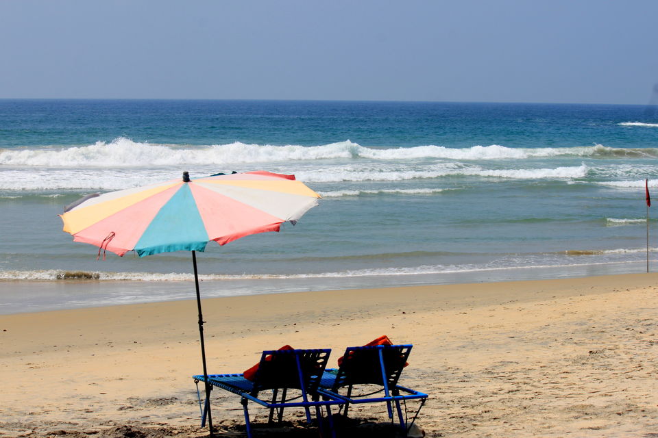Photo of God's Own Country: Kerala 12/22 by Riyanka Roy