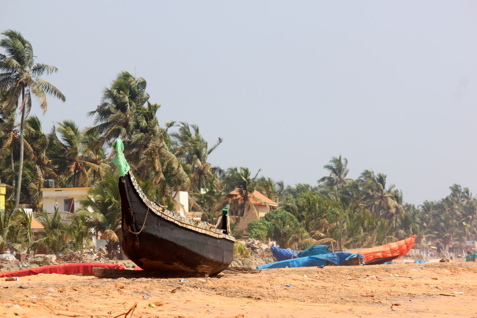 Photo of God's Own Country: Kerala 15/22 by Riyanka Roy