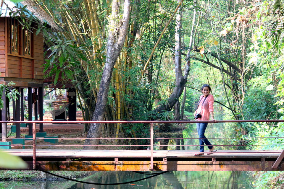 Photo of God's Own Country: Kerala 19/22 by Riyanka Roy