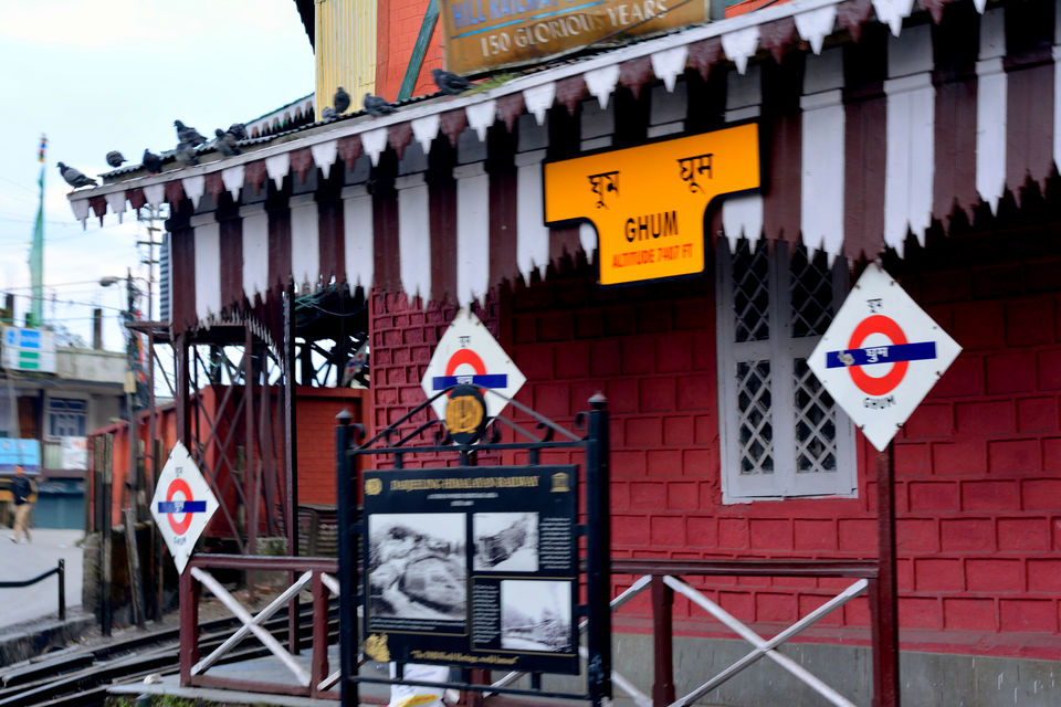 Photo of Exploring Darjeeling 10/27 by Riyanka Roy