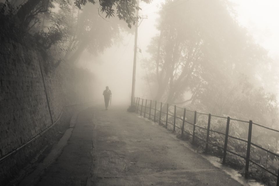 Photo of Exploring Darjeeling 11/27 by Riyanka Roy
