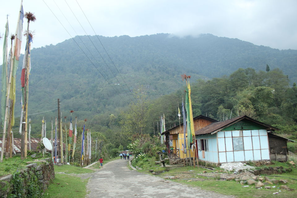 Photo of The Abode Of Snow: A Journey To Goecha La 1/32 by Riyanka Roy